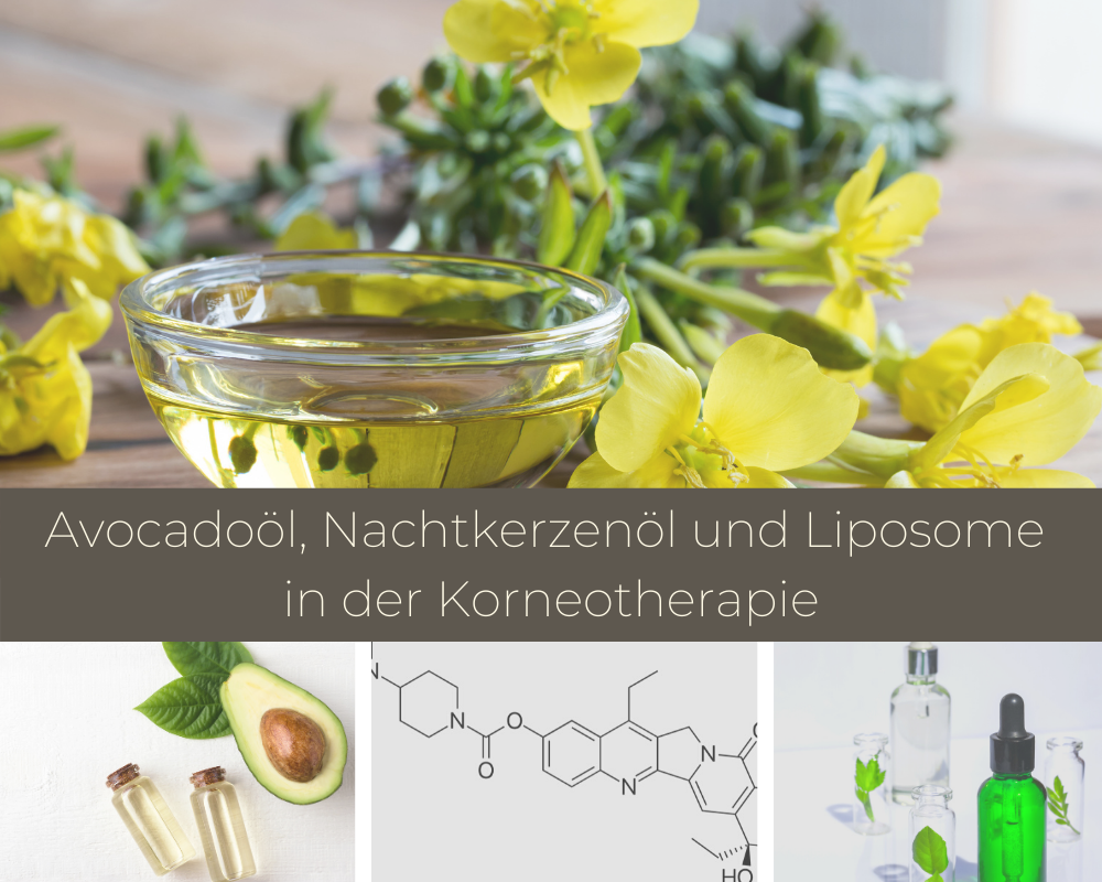 avocadoöl_in_der_korneotherapie